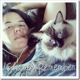 afternoon with stormy day off