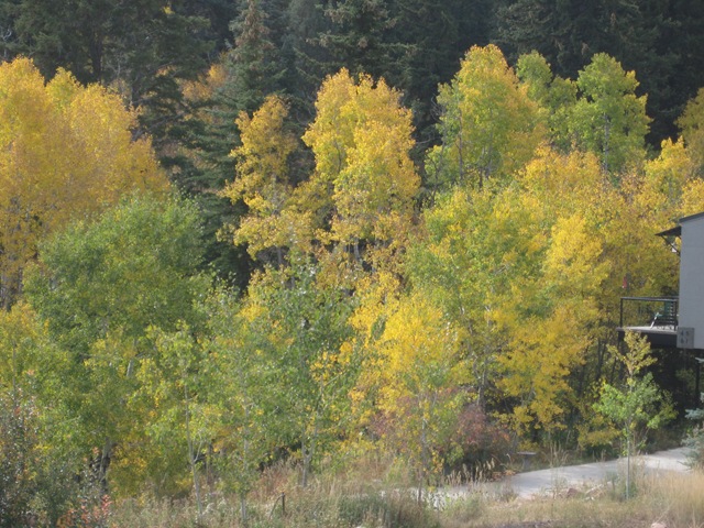 [IMG_7812%255B3%255D.jpg]