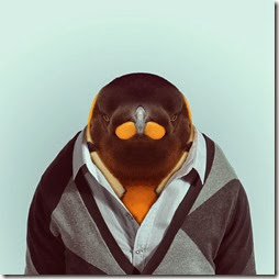 pingüí pingüí