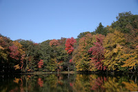 IMG_2363.JPG
