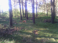 IMG_20111014_095047.jpg Photo