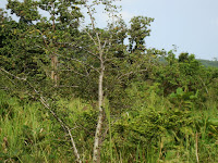 DSC05392.JPG