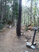 P8100323.JPG