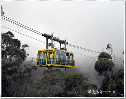 scenic world