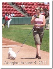 Bisons Dog Day 2