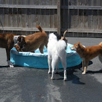 DSCN5075.jpg