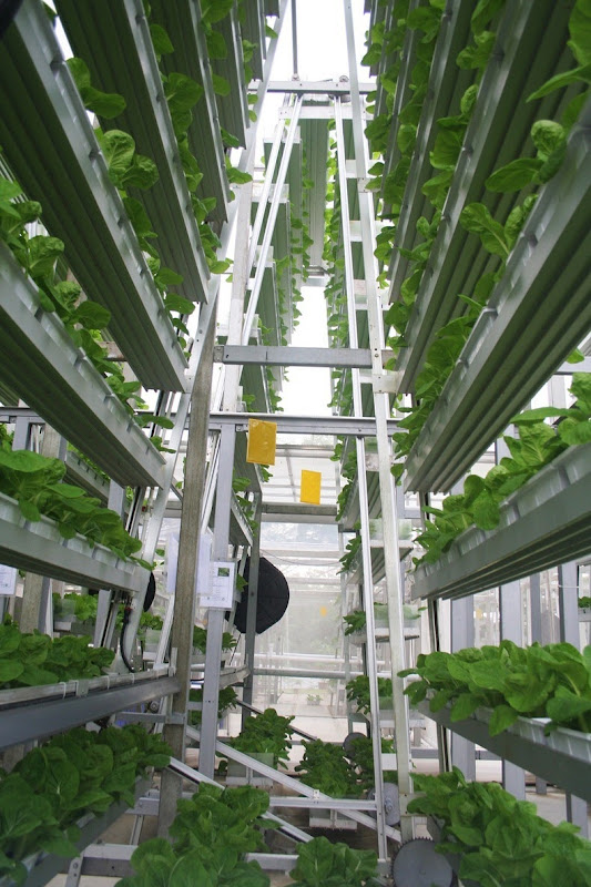 skygreens-vertical-farm-5 skygreens-vertical-farm-5