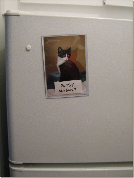 viral-picdump-pics-31