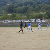 S6001096.JPG