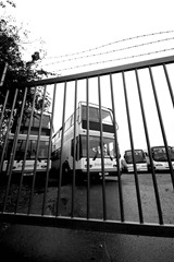 Bus-Pound