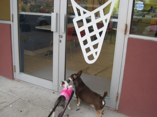 Pepper and Gus creating traditions of their own now.
Waiting of for the local coffee house to open and give them a treat