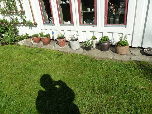 [majblandning%2520015%255B2%255D.jpg]