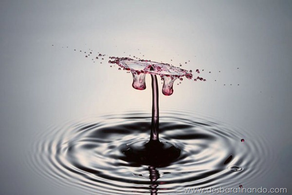 liquid-drop-art-gotas-caindo-foto-velocidade-hora-certa-desbaratinando (17) liquid-drop-art-gotas-caindo-foto-velocidade-hora-certa-desbaratinando (17)