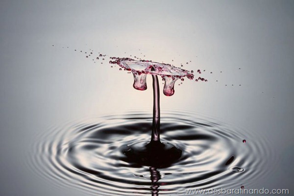 liquid-drop-art-gotas-caindo-foto-velocidade-hora-certa-desbaratinando (17)