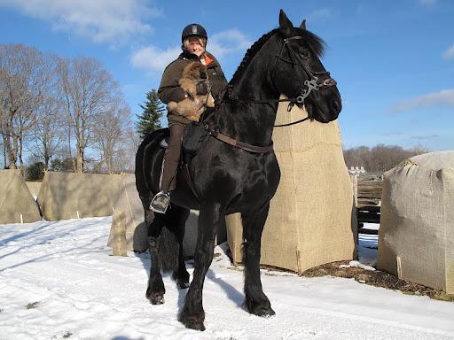 Martha and G.K. love horses! Here they are atop one of Martha's beautiful black Fresians.