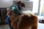 And Jan Kolnik, my handler!  Oh Jan, I've been practicing!  You're going to be so proud of what I can do!