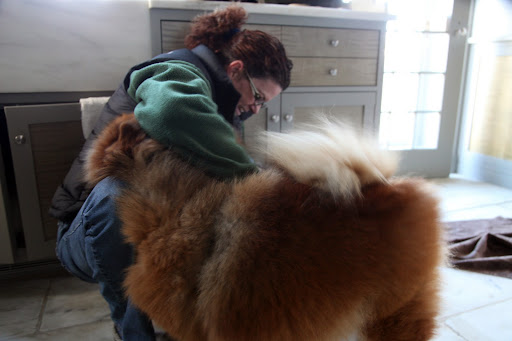 And Jan Kolnik, my handler!  Oh Jan, I've been practicing!  You're going to be so proud of what I can do!