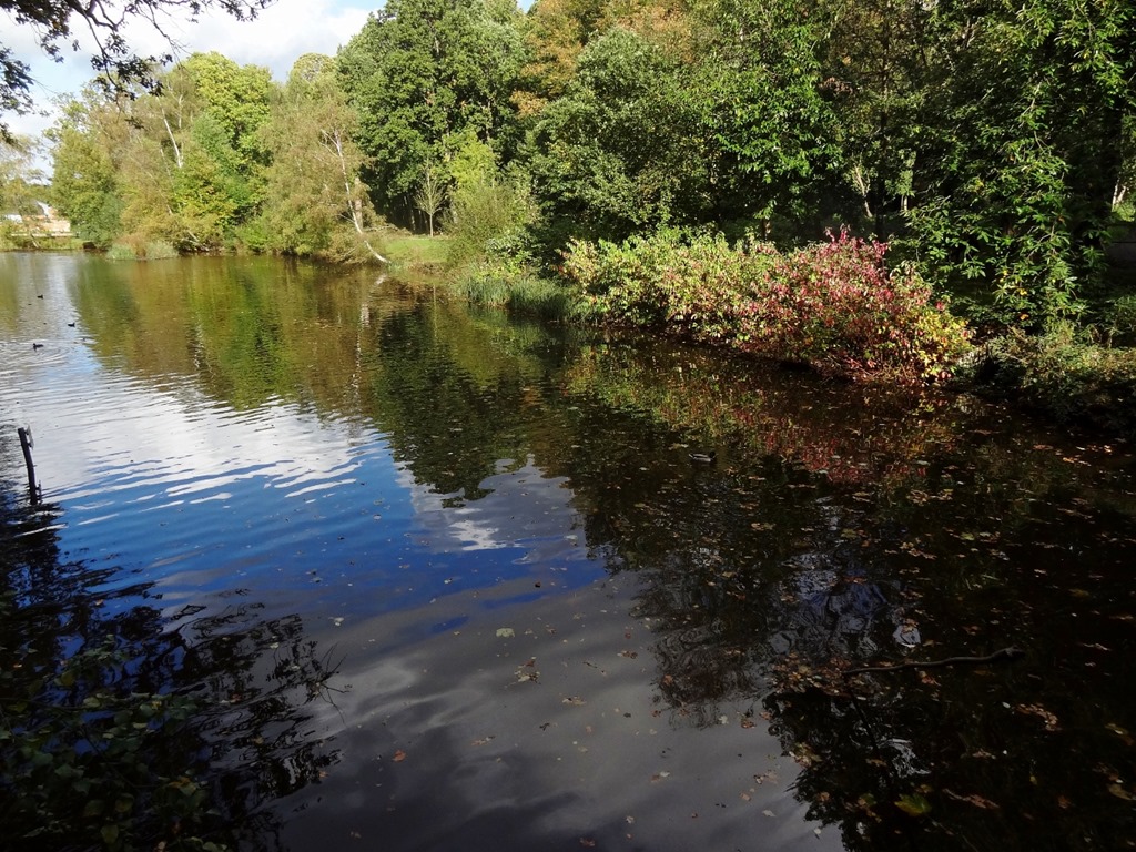 [DSC09075%2520%25281300x975%2529.jpg]