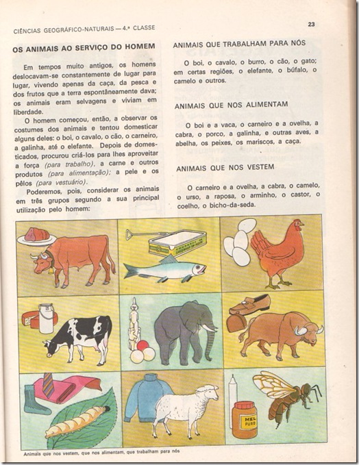 ciencias geografico naturais antonio  branco 02