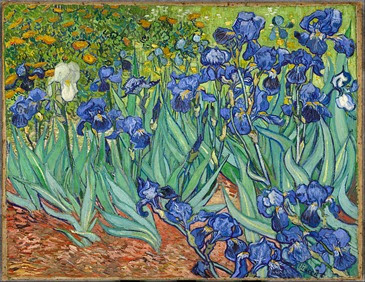 Irises-Vincent_van_Gogh Irises-Vincent_van_Gogh