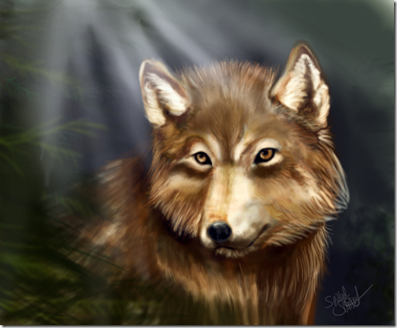 Jacob Black (7)