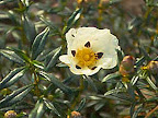 p1238559660(3).jpg
