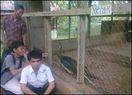 Pucak maros0987 Pucak maros0987