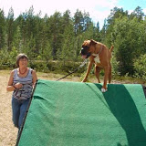 Sommerkurs 3 - Trysil 9. - 13. juli 2007