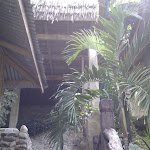 IMAG0177.jpg