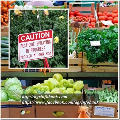 Is your organic produce really pesticide-free