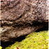 DSCN3634.JPG
