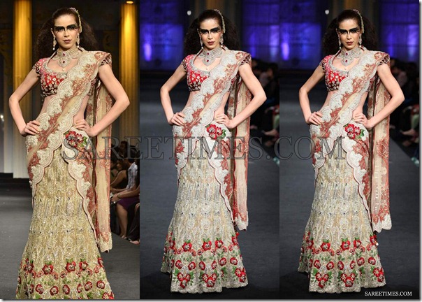 Shane_Falguni_Embroidery_Saree