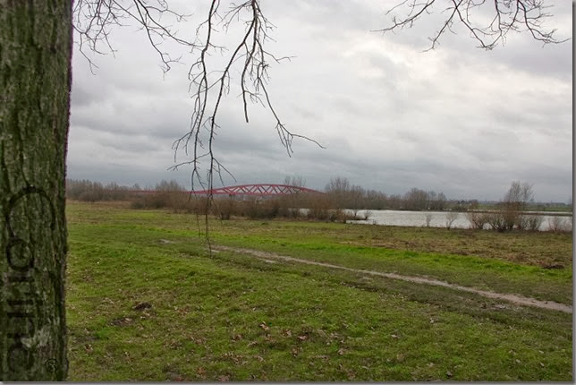 rood rood
