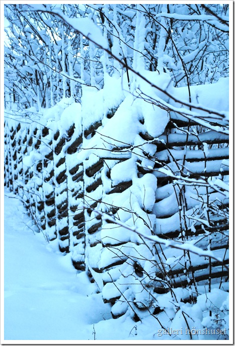 vinterbilder g&aring;rden 019