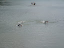 European championship 19.6.2010 Myjava-118.jpg