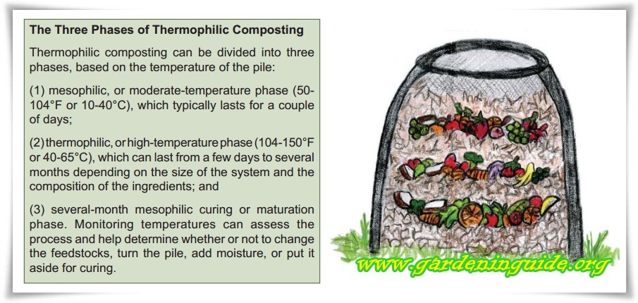 [Compost%2520Tips%2520for%2520the%2520Home%2520Gardener7%255B9%255D.jpg]