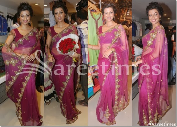 Hamsa_Nandini_Pink_Net_Saree Hamsa_Nandini_Pink_Net_Saree