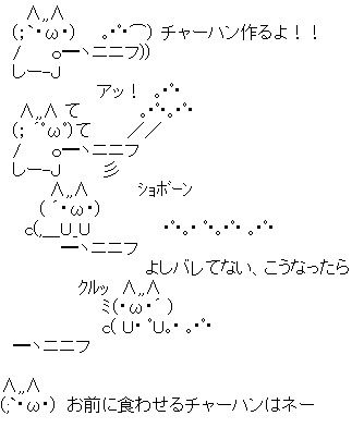 (;`･ω･)　お前に食わせるチャーハンはネー