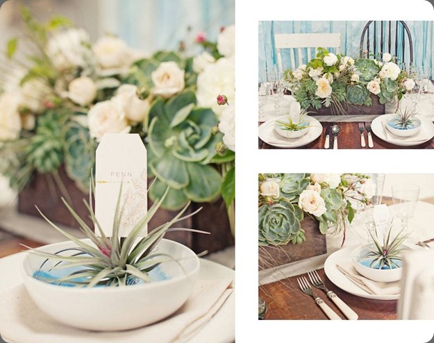 6a0120a5914b9b970c014e88c0cb75970d-800wi florali