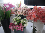 And here begins my photo shoot of all the beautiful blooms.