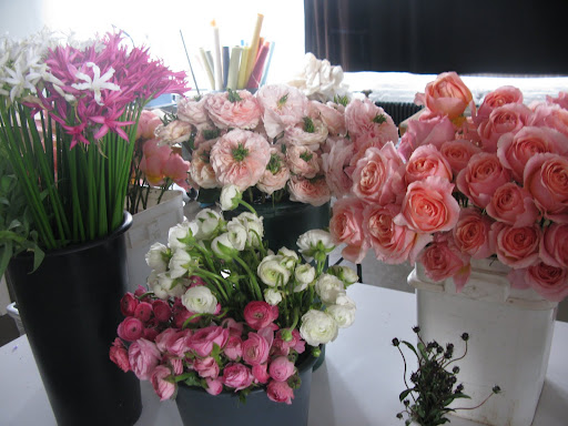 And here begins my photo shoot of all the beautiful blooms.