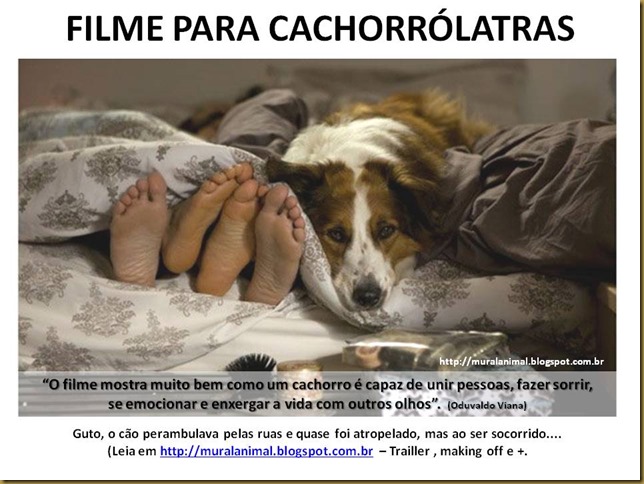 FILME PARA CACHORROLATRAS