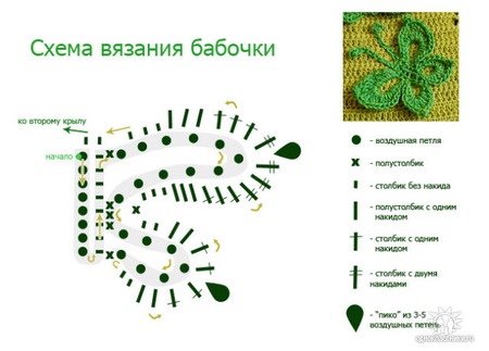 [butterfly24%255B4%255D.jpg]
