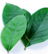 Obat Tradisional untuk Diare Obat Tradisional untuk Diare