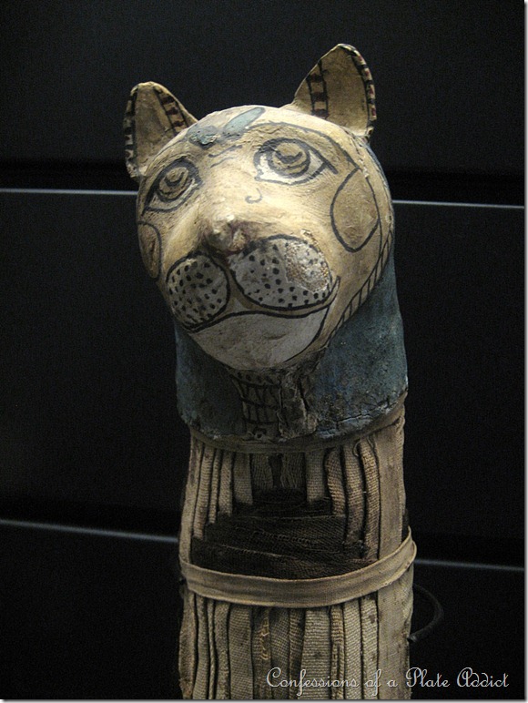 cat mummy cat mummy