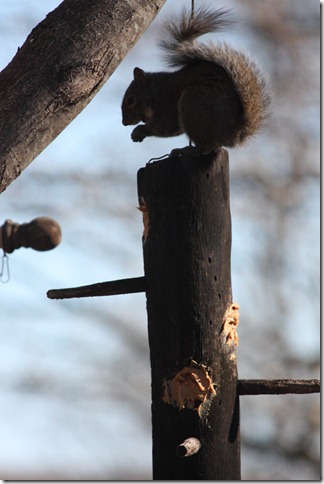 IMG_8443 IMG_8443