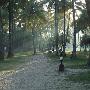 Marari Beach Resort