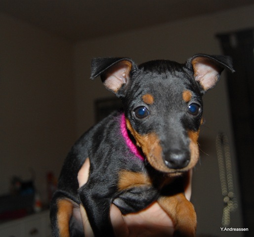 [DSC_6861%255B3%255D.jpg]