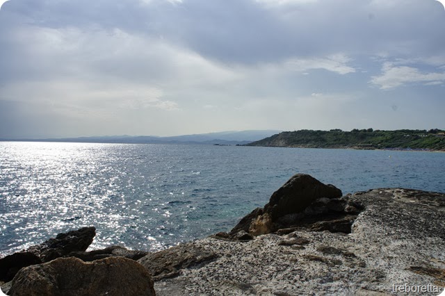 DSC00113 DSC00113