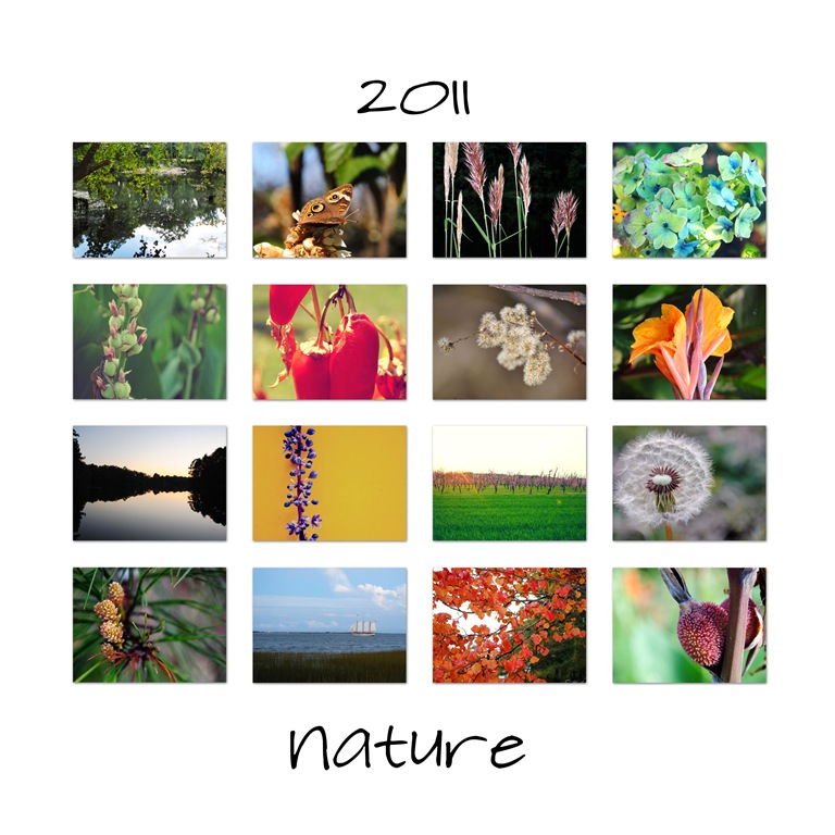 [2011-nature%255B3%255D.jpg]